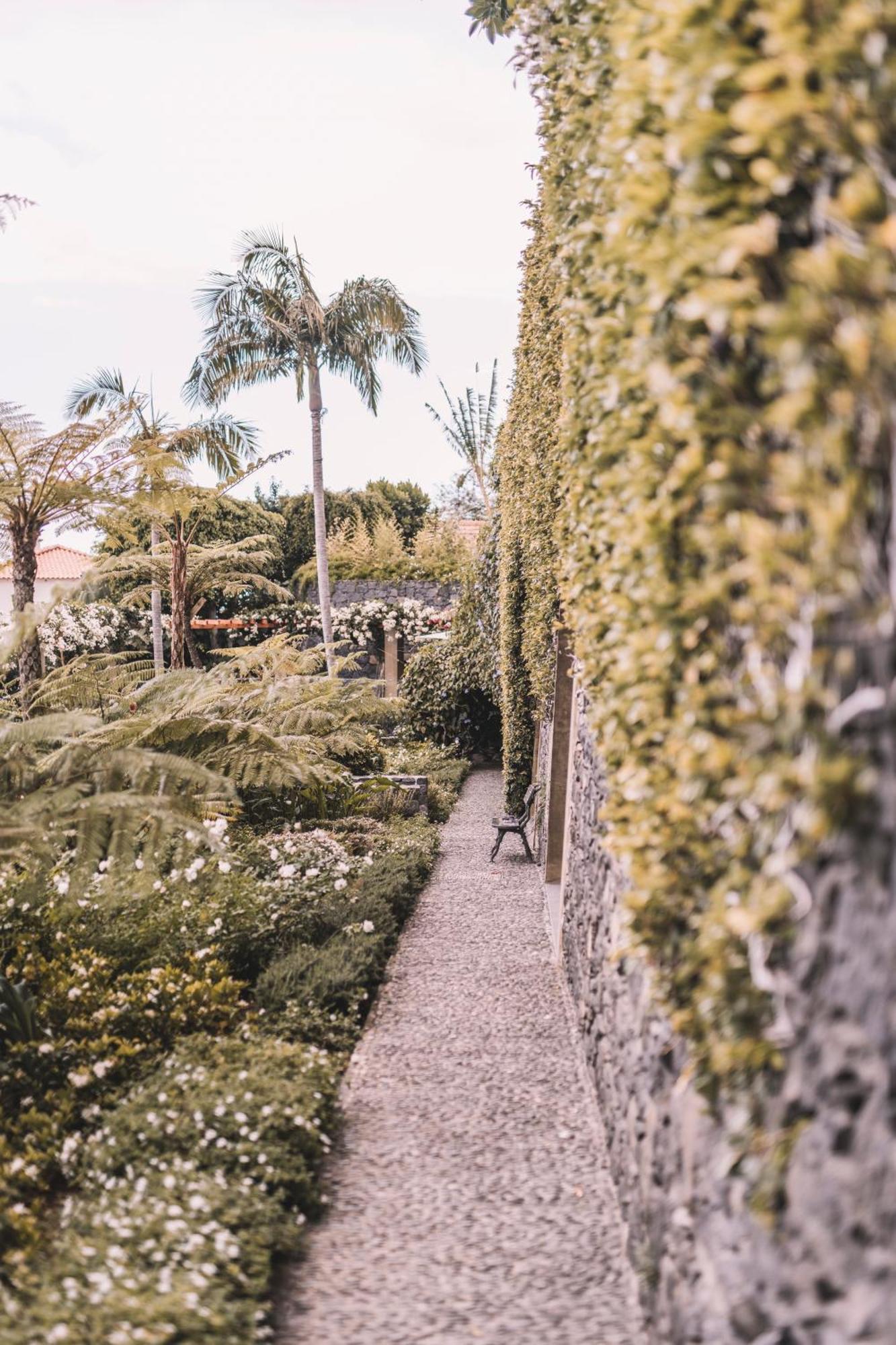 Villa Quinta Torrinha Rooms フンシャル エクステリア 写真
